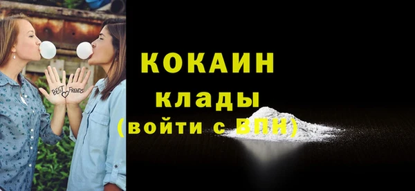 индика Баксан