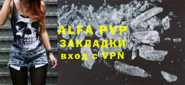 индика Баксан