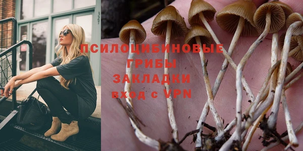 индика Баксан