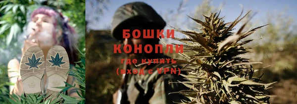 индика Баксан