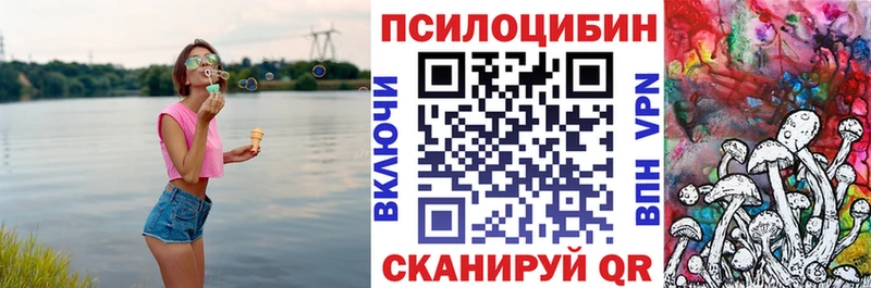 omg онион  Черемхово  Псилоцибиновые грибы мухоморы  где продают наркотики 